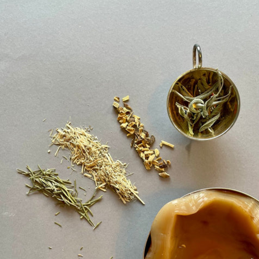 Adaptogena örter och adaptogenics som Ashwagandha och medicinalsvampar som Chaga
