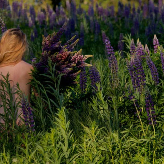 Floral Waters och Hydrolat på örter för att återfukta huden på ett naturligt sätt.