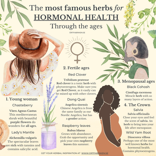 Explore the most famous herbs for hormonal health. Through the ages.