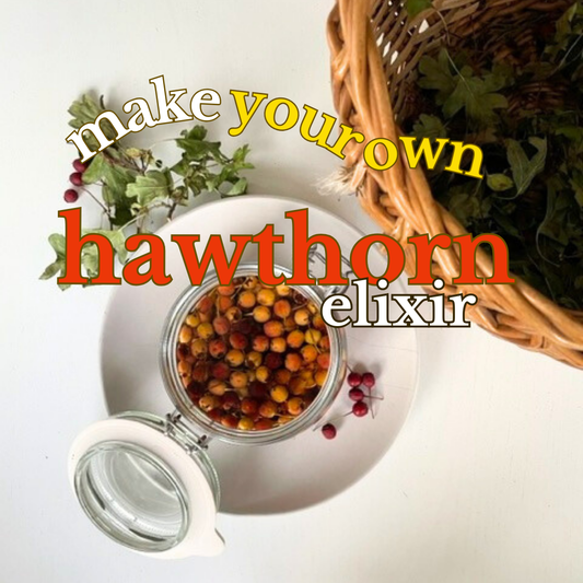Hagtorn Elixir | Recept