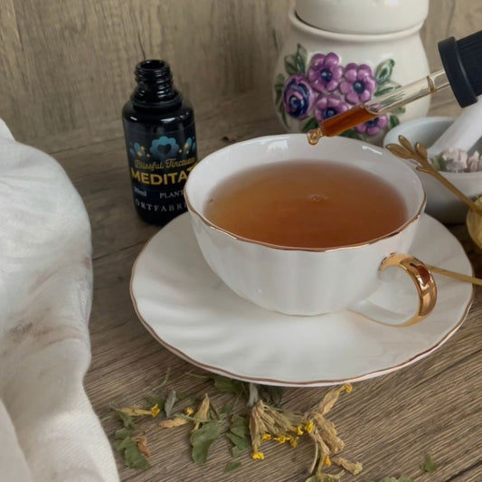 5 örter för att varva ner | Frossört | Citronmeliss | Hjärtstilla