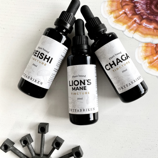Mushrooms, Chaga, Maitake, Shiitake, Lions Mane, Reishi att använda vardagligen för att optimera din hälsa precis som en biohacker skulle göra.