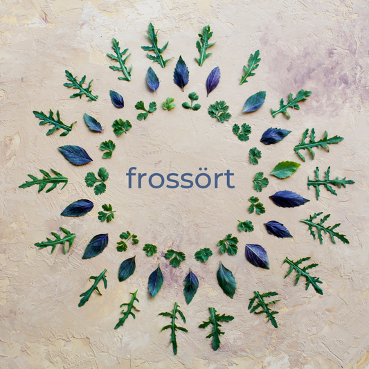 Frossört - skullcap - scutellaria lateriflora - en jättefin ört för oro, ångest, stresshantering.