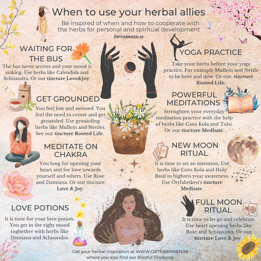 Örtfabrikens tinkturer Blissful Tinctures  | Använda dessa örtbaserade tinkturer för invärtes bruk i din meditation, yoga och andliga utövning.