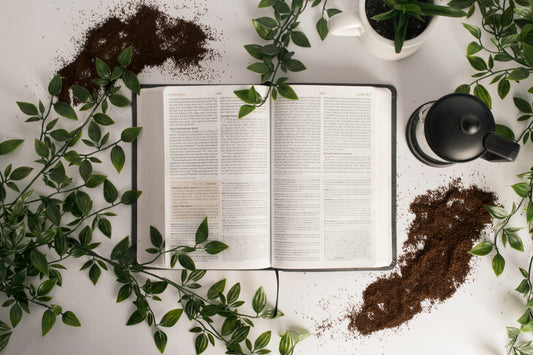 De fem bästa örtböckerna läkeväxter herbalism