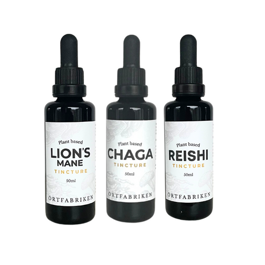 Trio i svampar | Lion's Mane, Chaga och Reishi