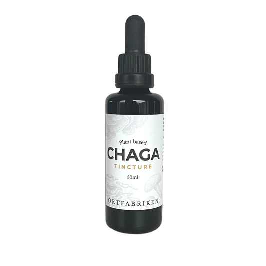Chaga eller sprängticka i tinktur i en svart flaska från Miron