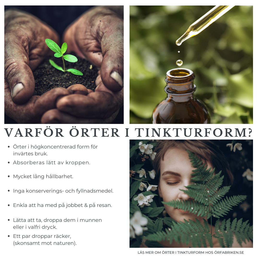 Örter i högkoncentrerad form, för invärtesbruk. Inga konserverings- och fyllnadsmedel (bara örter och lösningsvätska). Mycket lång hållbarhet.