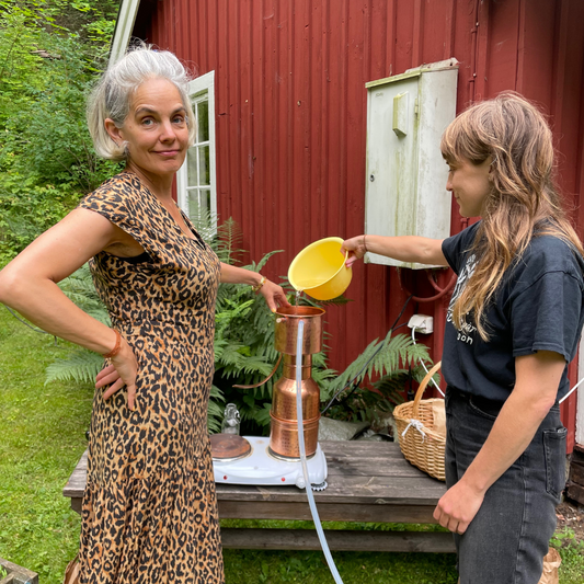 Destillering av eterisk olja och hydrolat  | En magisk process