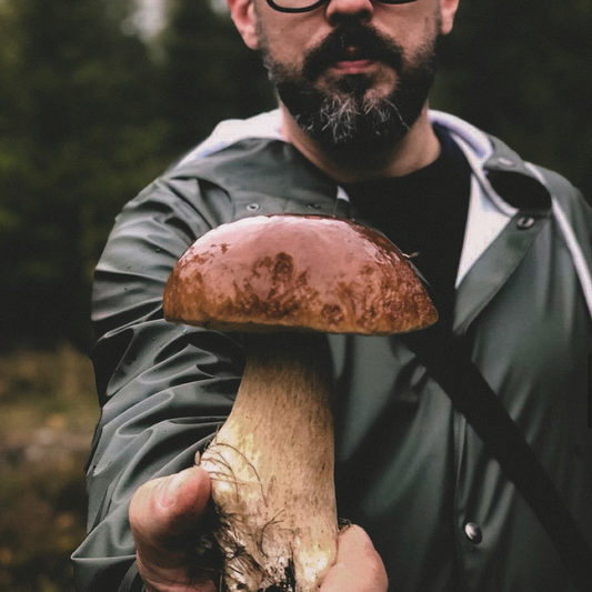 biohacking svampar mushrooms fungi 