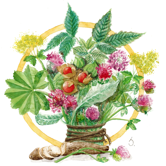 Historien om Happy Hormones