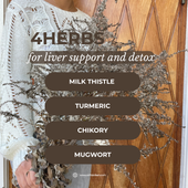 Fyra örter för levern | Mjölktistel, gurkmeja och andra örter för detox