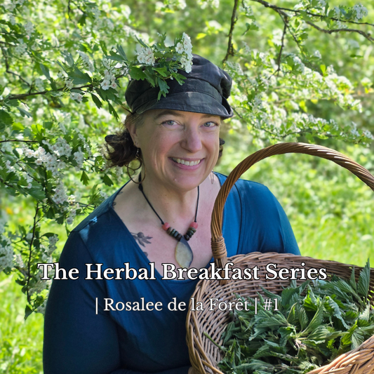 Herbal Breakfast Series | Rosalee de la Forêt #1