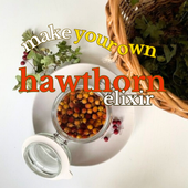 Hagtorn Elixir | Recept