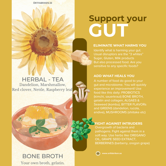 “All disease begins in the leaky gut” | Mage och tarm