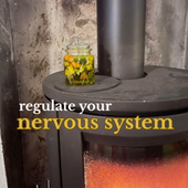 Nervsystemsreglering | Lugna ditt nervsystem med enkla tekniker