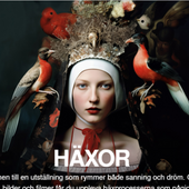 Häxprocesserna i Sverige