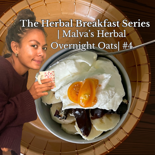 Overnight Oats 2.0 | Herbal Breakfast Series | Malvas recept #4