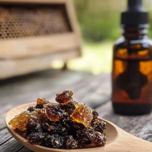 Propolis droppar | Gör din egen tinktur