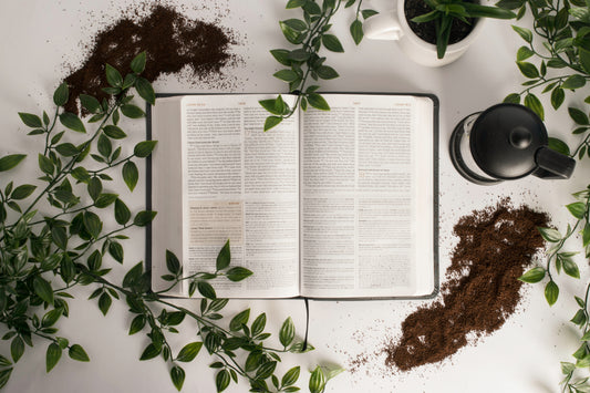 De fem bästa örtböckerna läkeväxter herbalism 