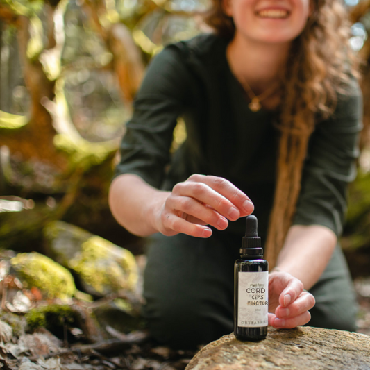 Cordyceps Tincture 
