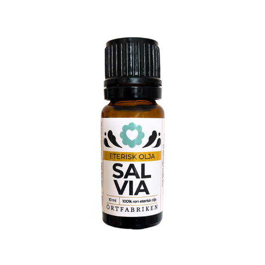 Salvia Eterisk olja