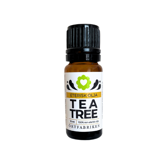 Tea tree essentiell olja 