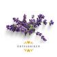 Lavendel Eterisk olja