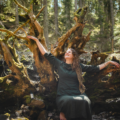 Mushroom power from the forests