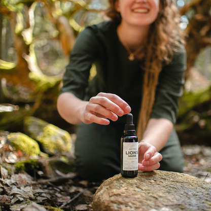Trio i svampar | Lion's Mane, Chaga och Reishi