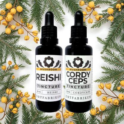 Cordyceps + Reishi
