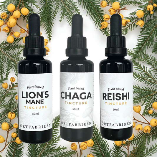Trio i svampar | Lion's Mane, Chaga och Reishi