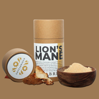 Lion's Mane Tincture 