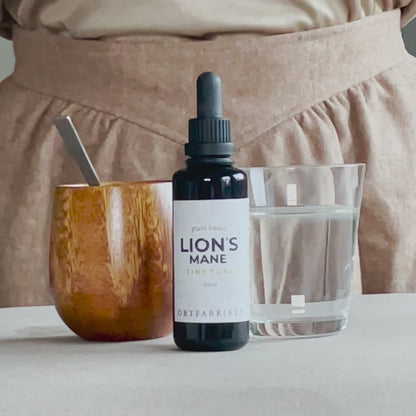 Lion's Mane Tinktur