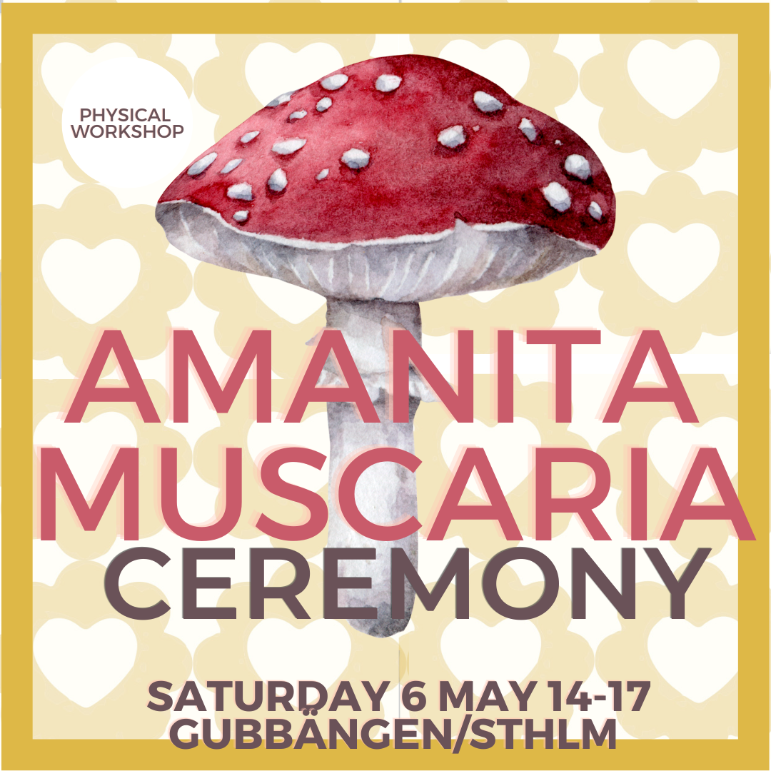 Amanita muscaria ceremony, flugsvampsceremoni på svenska